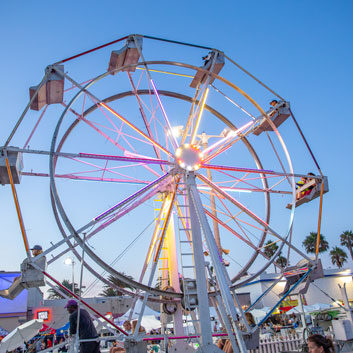 Photo by Gently Crafted Films