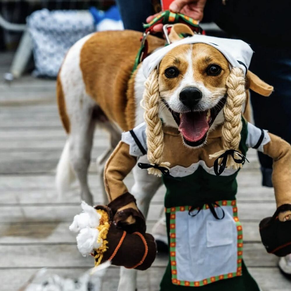 Screen Shot 2023-08-27 at 1.39.22 PM Screen Shot 2023-08-27 at 1.39.22 PM