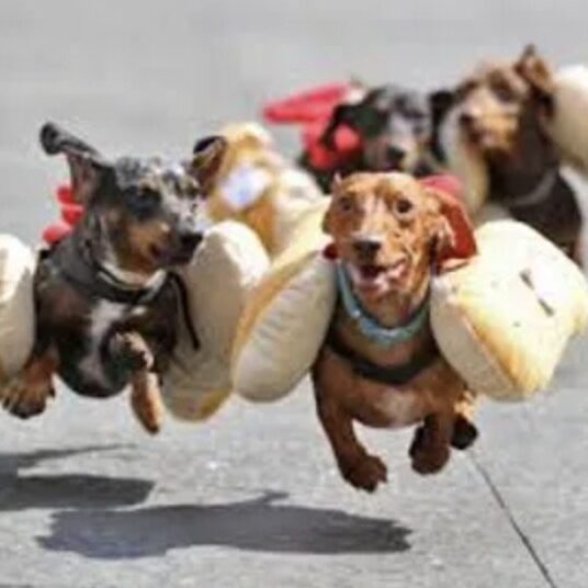 Screen Shot 2023-08-27 at 12.37.31 PM Screen Shot 2023-08-27 at 12.37.31 PM